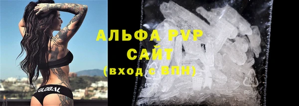 ECSTASY Кукмор