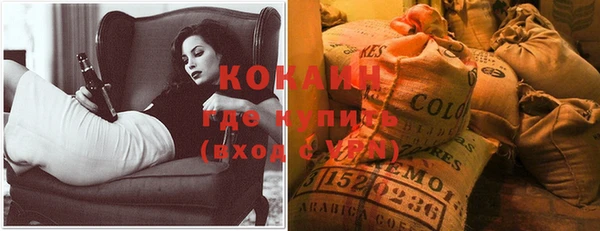 ECSTASY Кукмор